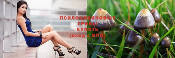 а пвп мука Новочеркасск