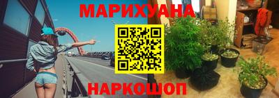 прущие крисы Гагарин