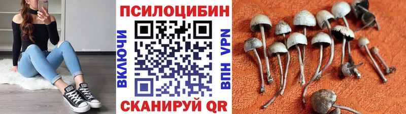 Псилоцибиновые грибы GOLDEN TEACHER  как найти закладки  Аксай 