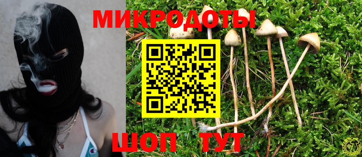 Псилоцибиновые грибы GOLDEN TEACHER  купить закладку  Псилоцибиновые грибы MAGIC MUSHROOMS  Аксай  Вход с VPN 