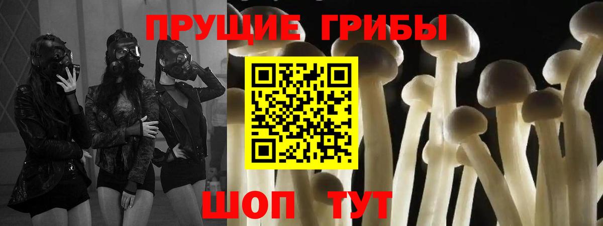 Псилоцибиновые грибы GOLDEN TEACHER Аксай